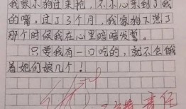娱乐吃瓜酱小学生作文,小学生眼中的娱乐圈风云
